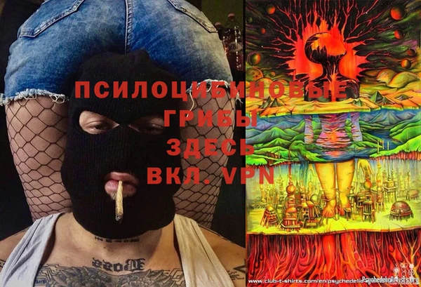 2c-b Алексеевка