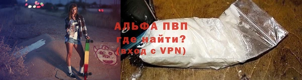 apvp Алексин