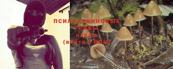 apvp Алексин